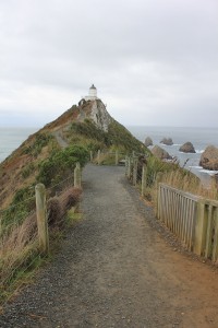 Slope Point - Nugget Point Lighthouse-028